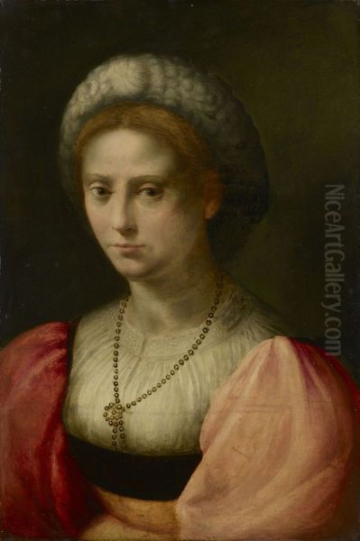 Portrait of a Lady - view 1