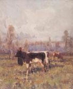 Mucche Al Pascolo by Alessandro Lupo