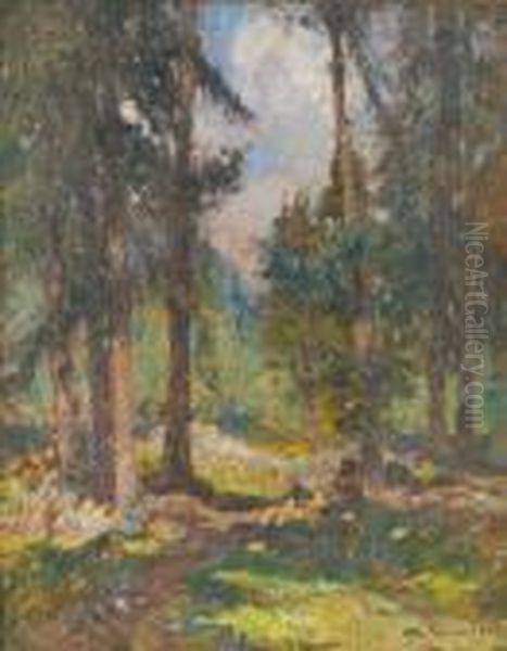 Bosco - view 1