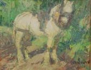 Il Cavallo