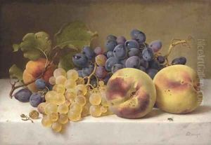 A Still Life with Peaches and Grapes on a Marble Ledge by Johann Wilhelm Preyer