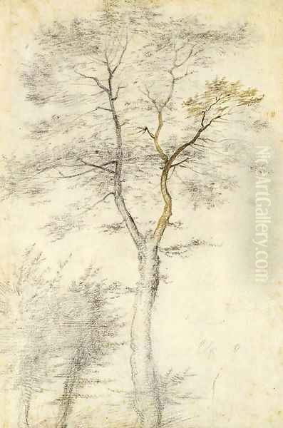 Study of trees and two saplings - view 1