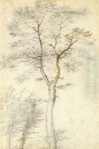 Study of trees and two saplings by Fra Bartolommeo della Porta