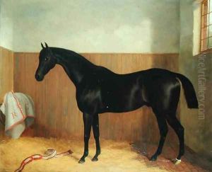Tommy, Portrait of a Horse, c.1870s by John Paul