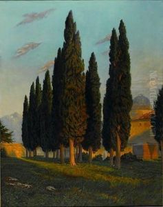 Cypress In A Landscape Cypress In A Landscape