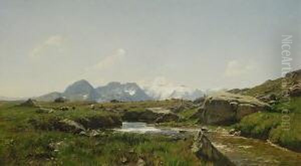 Alm Im Hochgebirge. - view 1
