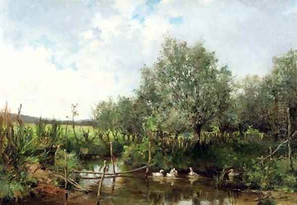 Ducks in a pond - view 1
