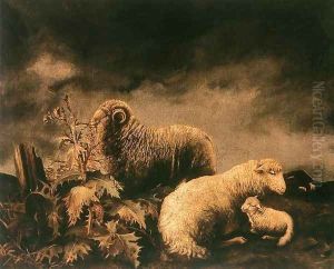 Sheeps by Bela Pallik