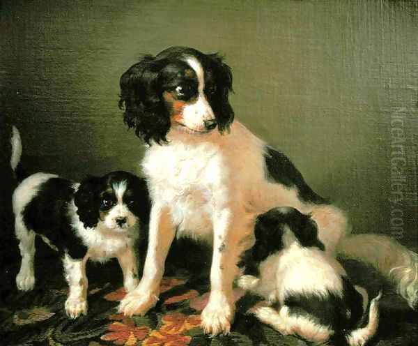 A spaniel with two puppies - view 1