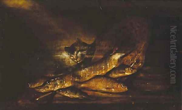 A cat with a pike, perch and other fish and a colander on a ledge - view 1