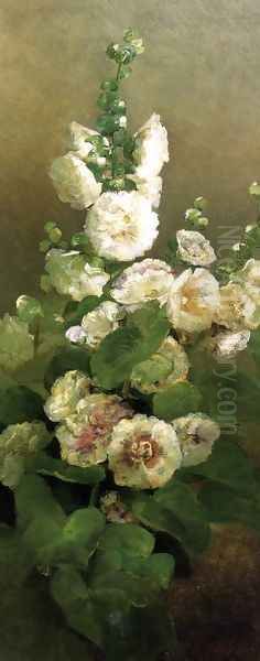 Hollyhocks - view 1