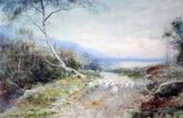 In The Perthshire Highlands - view 1