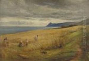 Harvesting - Arran