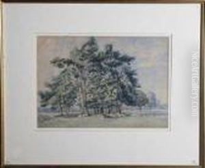 A Clump Of Pines by John MacWhirter
