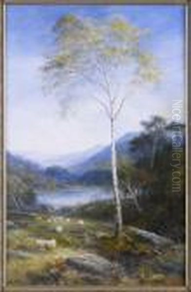 Sheep Grazing In A Highland Landscape - view 1