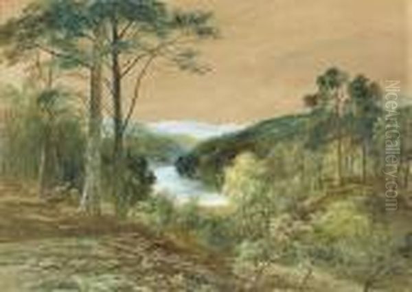 Deer In A Wooded River Landscape - view 1