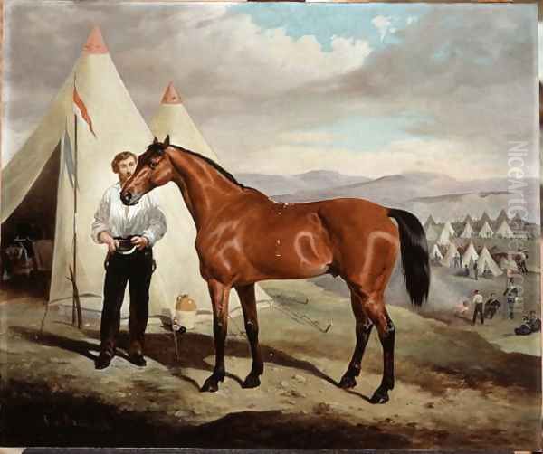 Sir Briggs, horse of Lord Tredegar 1831-1913 of the 17th Lancers, in Camp in Crimea 1854, 1856 - view 1