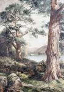 Loch-am-eilan Loch-am-eilan