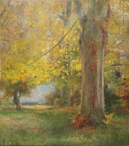 Autumn Colours - view 1