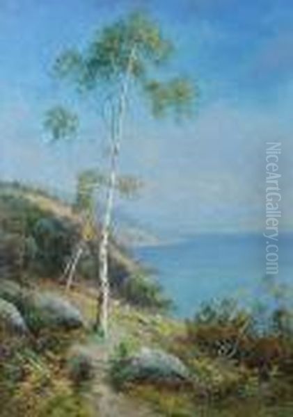 Coastal Scene - view 1