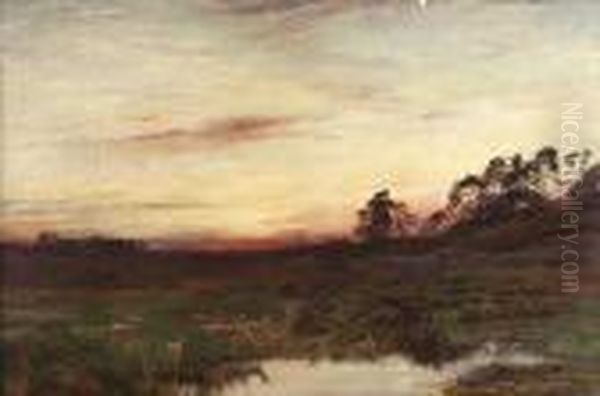 Fallow Deer, Sutherland Sunset - view 1