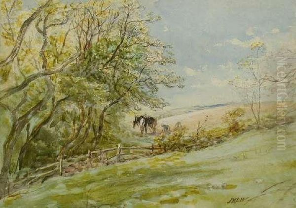 Spring Ploughing - view 1