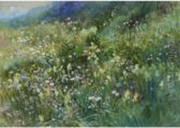 An Alpine Meadow Of Wildflowers - view 1