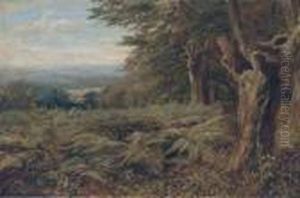 At The Edge Of The Forest At The Edge Of The Forest