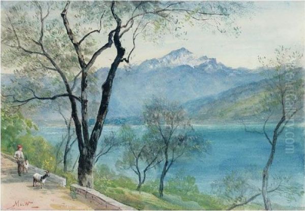 In The Italian Lakes - view 1