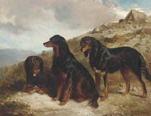 Reuben, Roland, and Rector, black and tan setters in a Highland landscape by Alfred F. De Prades