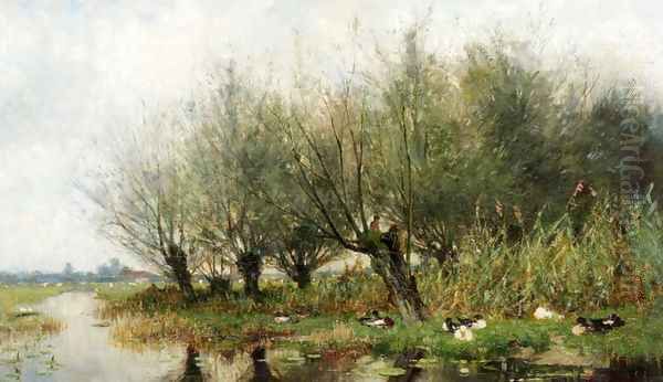 Ducks On A Riverbank Under The Pollard Willows - view 1