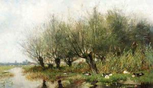 Ducks On A Riverbank Under The Pollard Willows