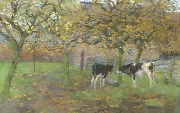 Calfs in the orchard - view 1