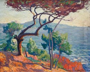 La Baie Dans Le Midi A Agay by Paul Madeline