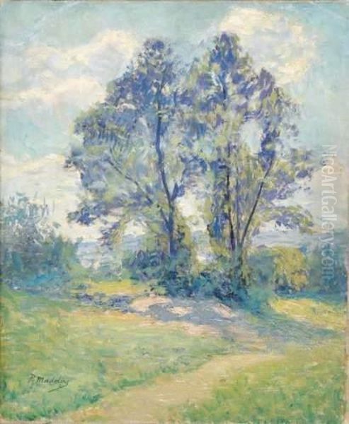 Bosquet D'arbres - view 1