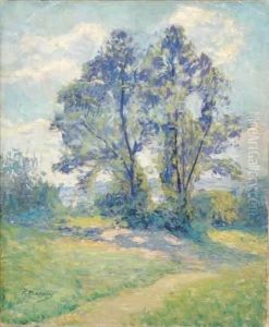 Bosquet D'arbres Bosquet D'arbres