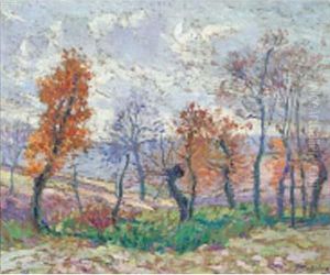 Paysage Paysage