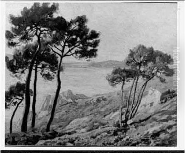 Pins En Bord De Mer - view 1