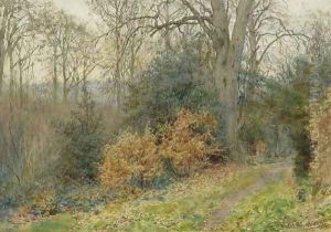 Path Through the Wood, 1902 by Wilmot, R.W.S. Pilsbury