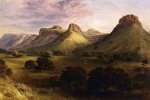 View in the Canyon of the Coppermines, Santa Rita, New Mexico