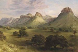 View in the Canyon of the Coppermines, Santa Rita, New Mexico 2