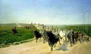 Cattle Herding in Norway