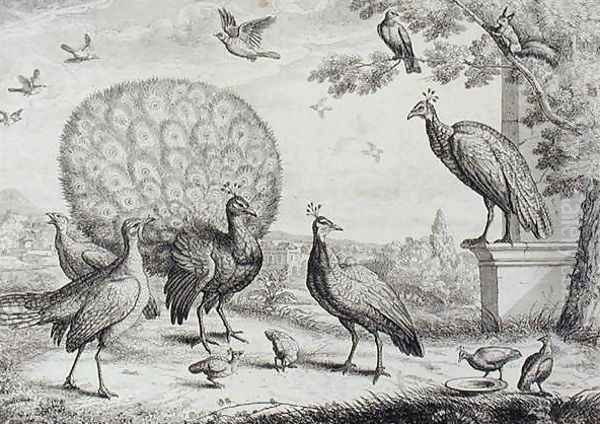Group of Birds with Peacock - view 1