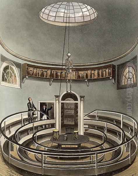 Interior of the Theatre of Anatomy, Cambridge, from The History of Cambridge, engraved by Joseph Constantine Stadler fl.1780-1812, pub. by R. Ackermann, 1815 - view 1
