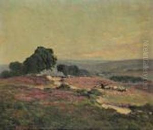 Bergere Et Ses Moutons Dans Les Bruyeres