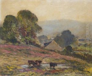 Vaches Au Paturage