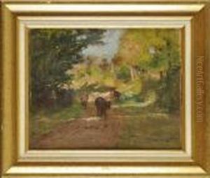 Les Vaches Sur Le Chemin Du Retour