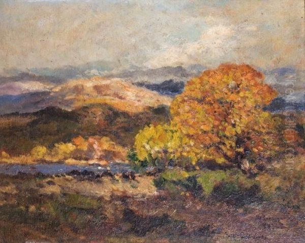 Paysage De Correze En Automne - view 1