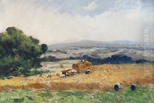 Moissonneurs En Creuse