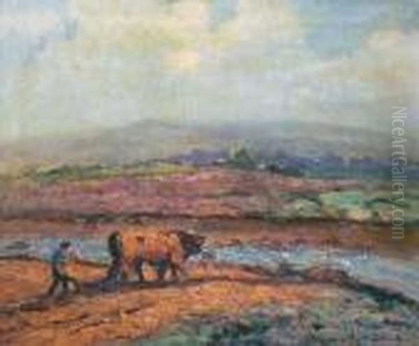 Trabajando La Tierra - view 1